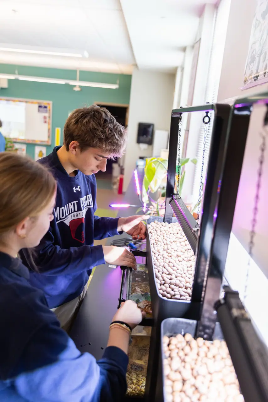 Students tending a hydroponic garden in a science classroom