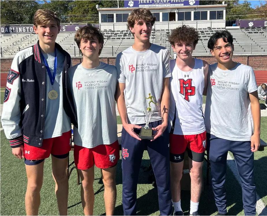 OptimizedImage,,,Optimized