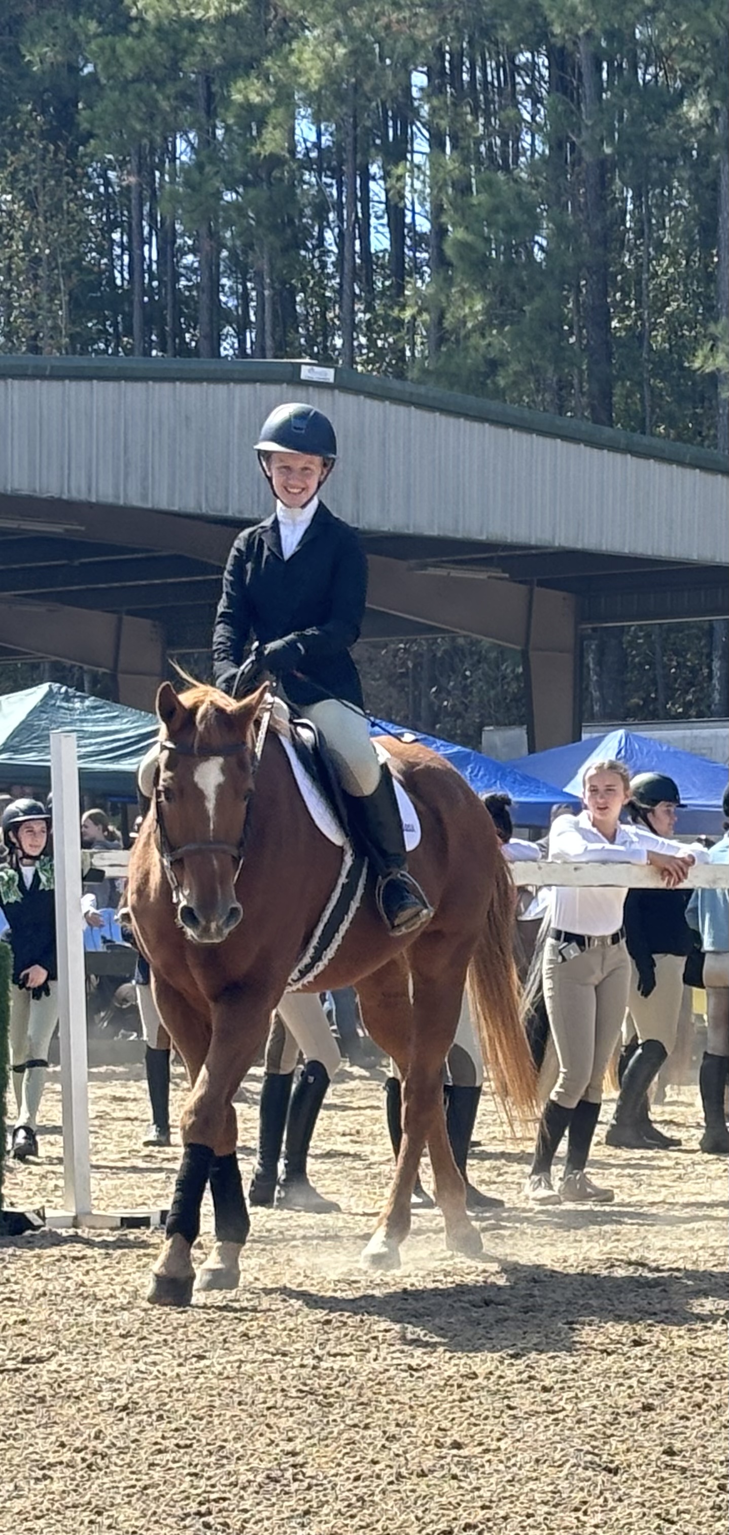 OriginalImage,,,Original