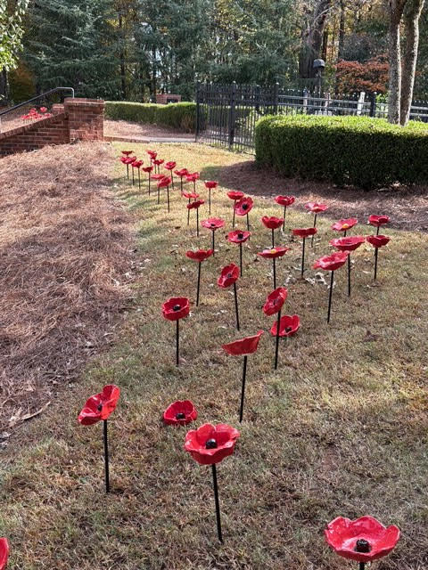  OptimizedImage,,,Optimized