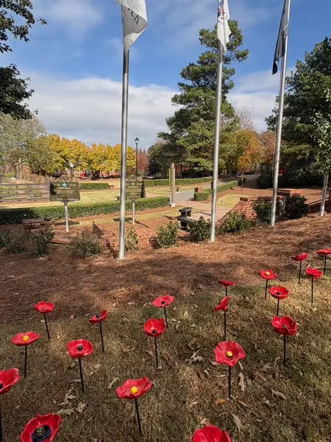 OptimizedImage,,,Optimized