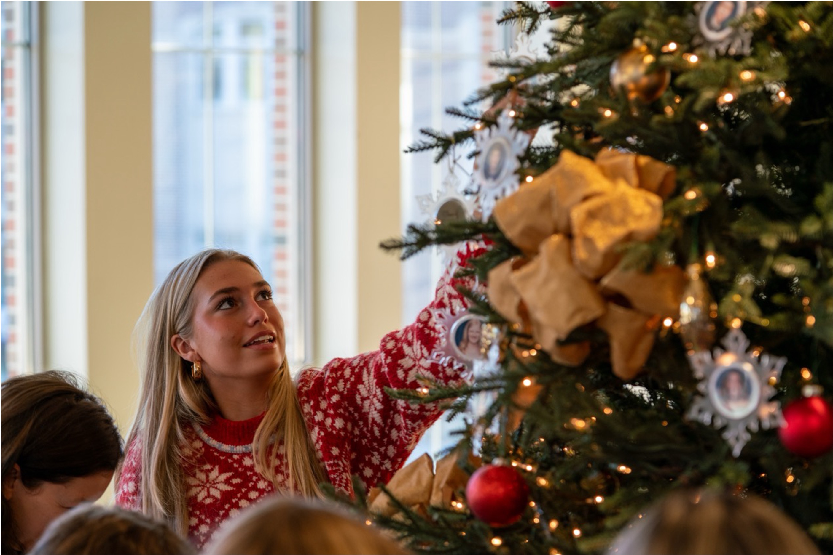 OriginalImage,,,Original