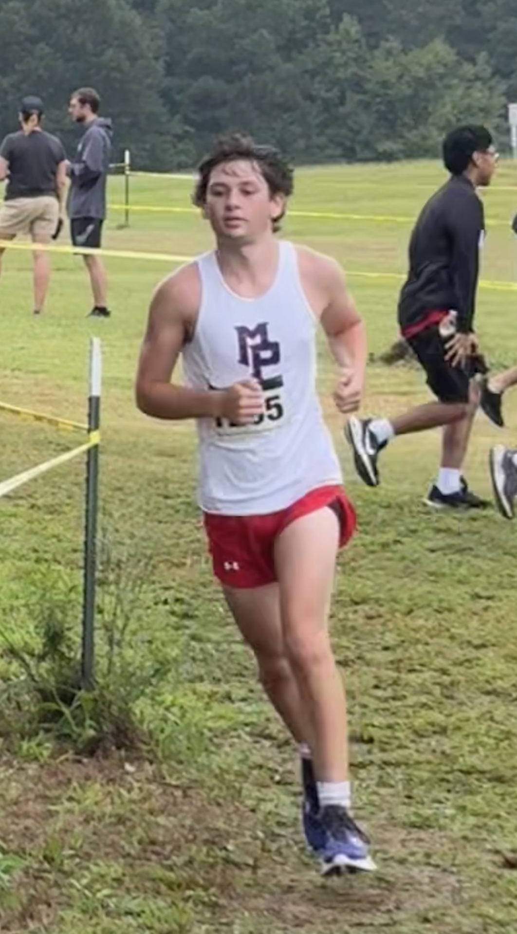 OriginalImage,,,Original